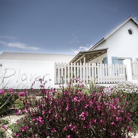 Plover Farmhouse Studios Swakopmund Exterior photo